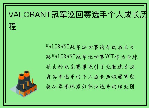 VALORANT冠军巡回赛选手个人成长历程