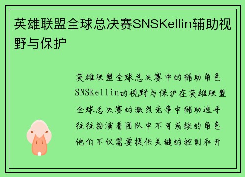 英雄联盟全球总决赛SNSKellin辅助视野与保护